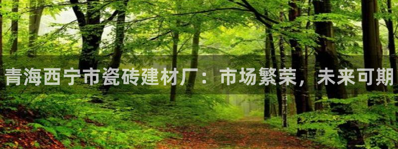 杏鑫官网注册账号是什么意思