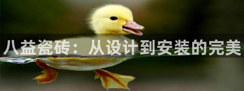 杏鑫手机客户端