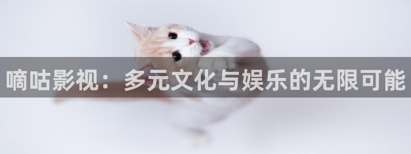 战地影院观看：嘀咕影视：多元文化与娱乐的无限可能