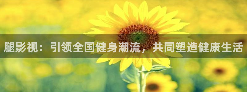 战地影视网：腿影视：引领全国健身潮流，共同塑造健康生活