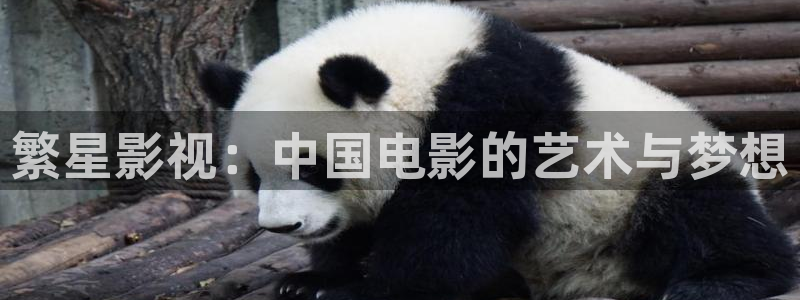 战地影院善良的嫂子