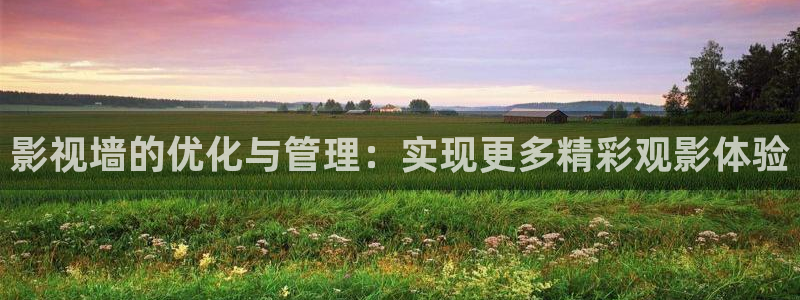 战地影院里的韩国电影有哪些：影视墙的优化与管理：实现更多精彩观影体验