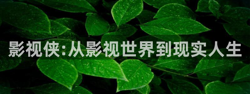 电影战地之狼