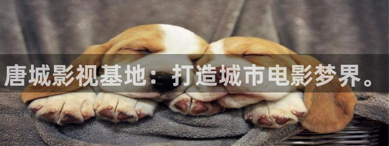 战地影院免费观看完整版电影：唐城影视基地：打造城市电影梦界。