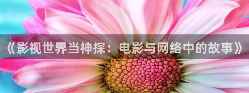 战地影院sf91：《影视世界当神探：电影与网络中的故事》