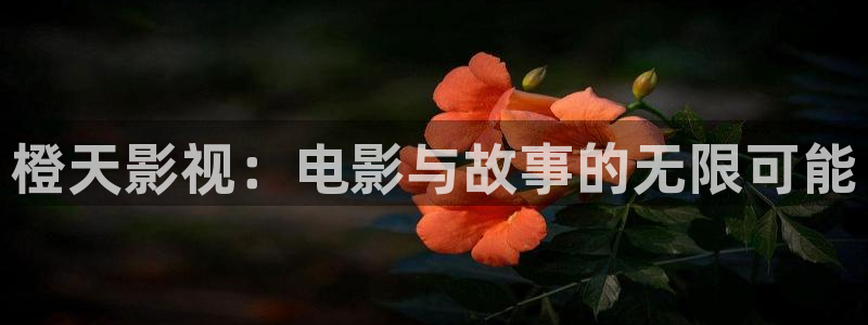 战地影院在线播放：橙天影视：电影与故事的无限可能