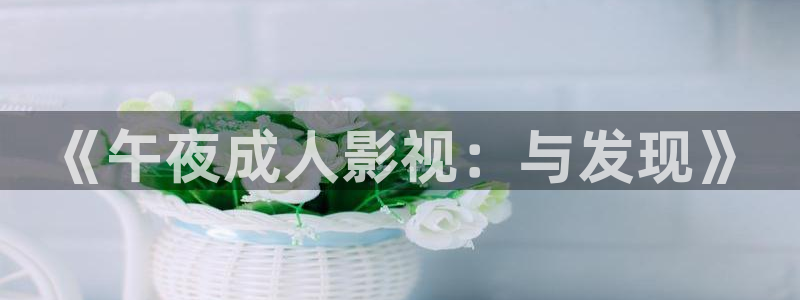战地影院免费观看完整版电影：《午夜成人影视：与发现》