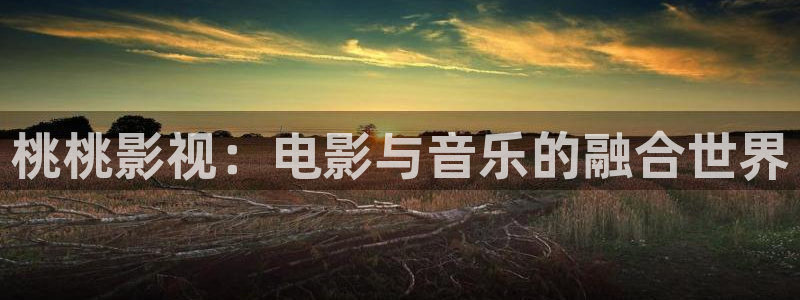 女机长起飞免费观看完整版高清战地影院：桃桃影视：电影与音乐的融合世界